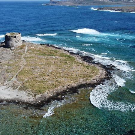 Il Faro La Ciaccia Apartment Валедория Екстериор снимка